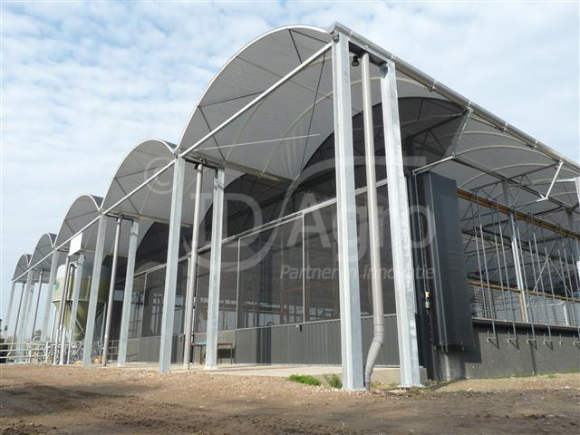 Unique Cow Lounge for Cheese Farm Schellach