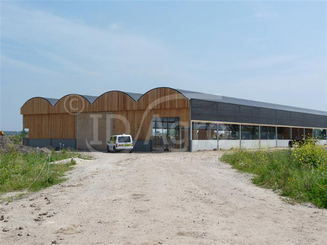 Cow Lounge for Beef Cattle in the Netherlands 