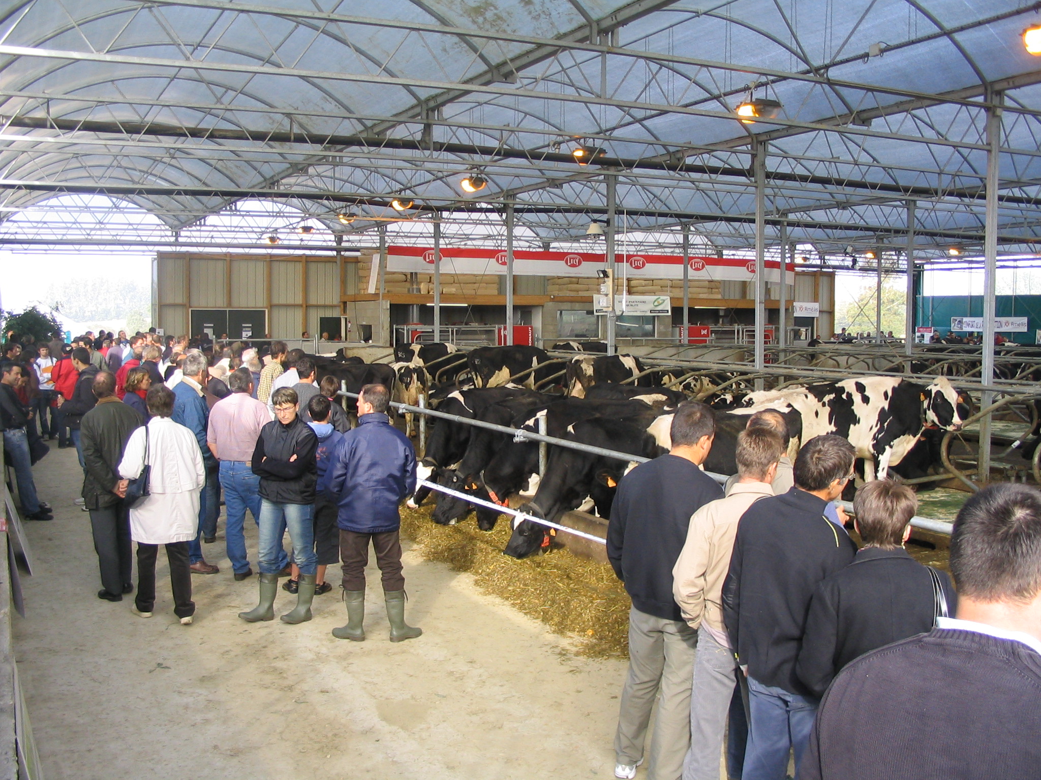 First Cow Lounge in France 