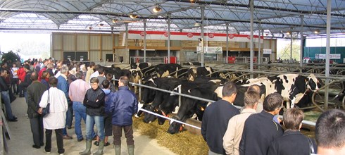 First Cow Lounge in France 
