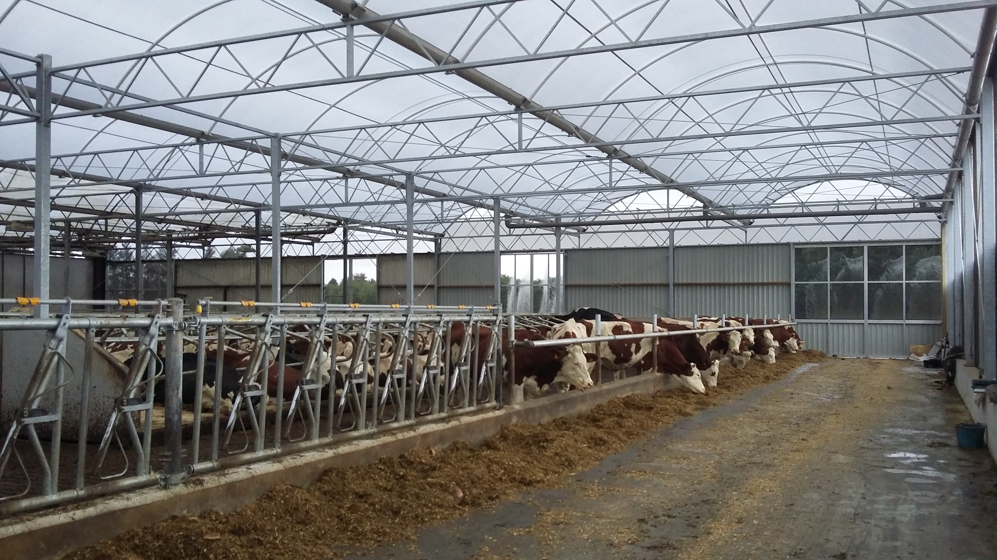 Cow Lounge extended in North of Brittany